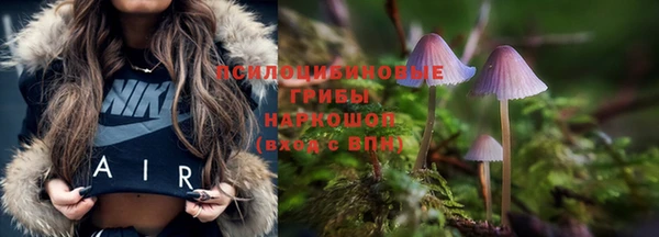 крисы Абинск