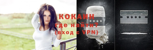 стаф Алзамай