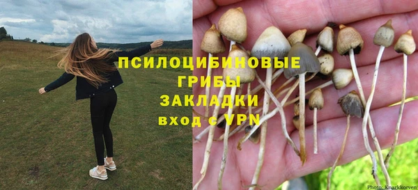 дурь Абаза