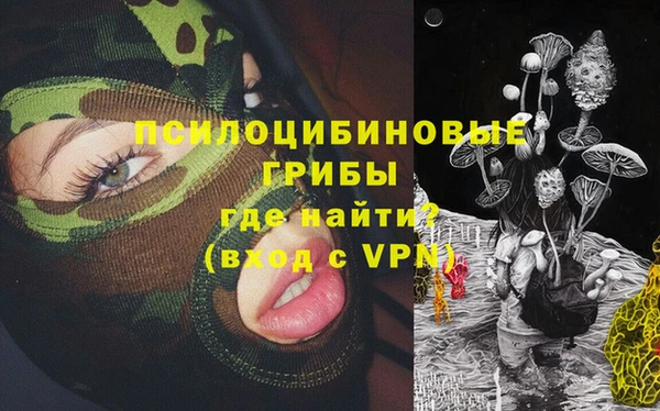 стаф Алзамай