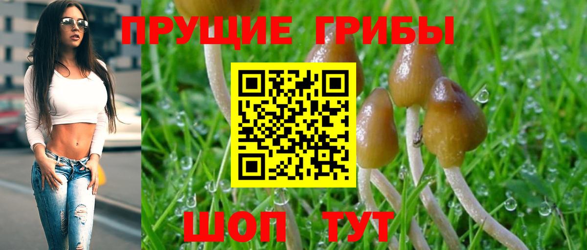 Псилоцибиновые грибы мицелий  Галлюциногенные грибы Magic Shrooms  купить наркотики цена  Вход с VPN  Ярославль 