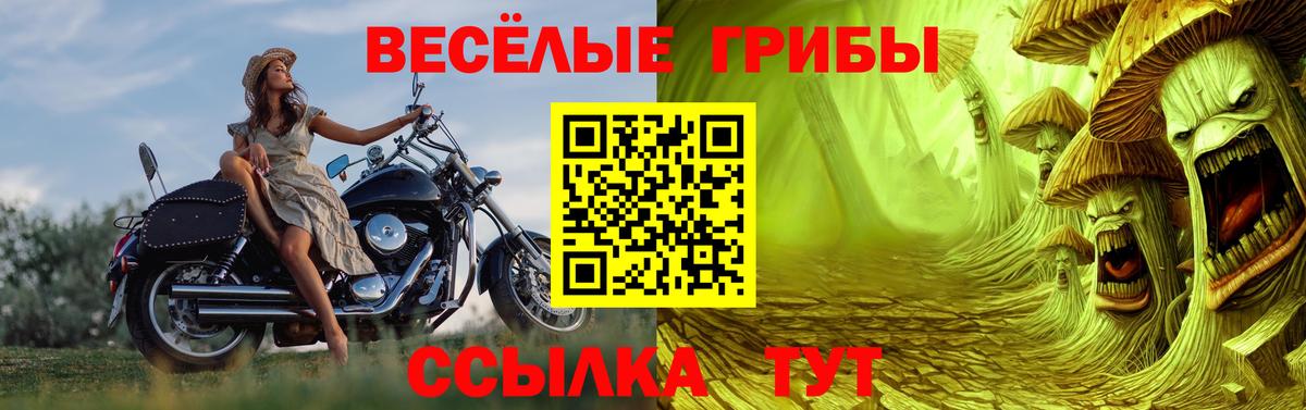 Галлюциногенные грибы Magic Shrooms Ярославль